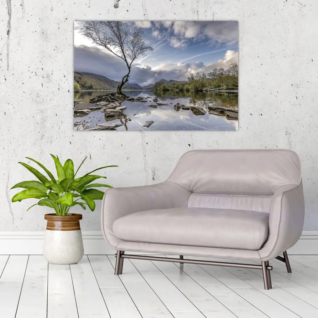Tablou cu râu și copac (90x60 cm)