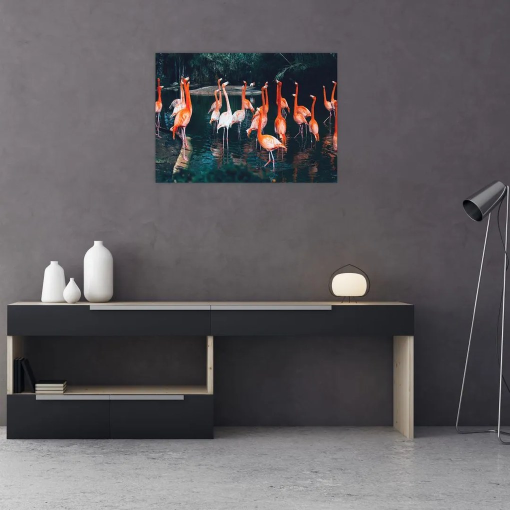 Tablou pe sticlă - turmă de flamingo (70x50 cm)
