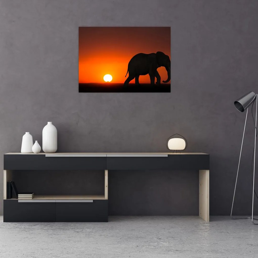 Tablou cu elefant în apus de soare (70x50 cm)