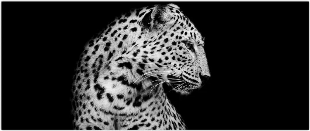 Tablou - Leopardul (120x50 cm)