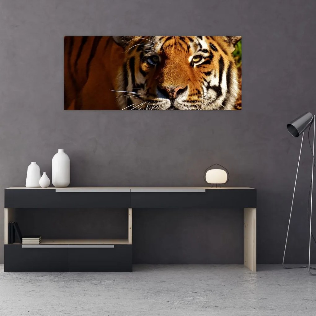 Tablou cu tigrul (120x50 cm), în 40 de alte dimensiuni noi