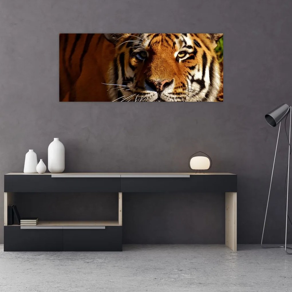 Tablou cu tigrul (120x50 cm)