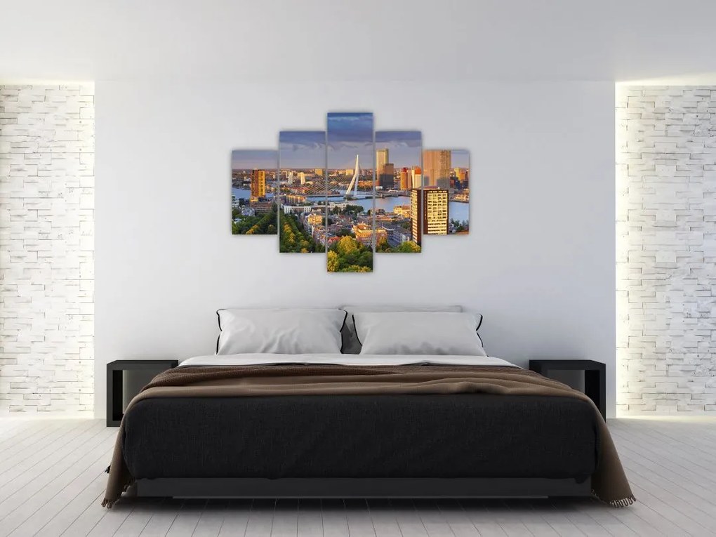 Tablou - Panorama Rotterdamului, Țările de Jos (150x105 cm)