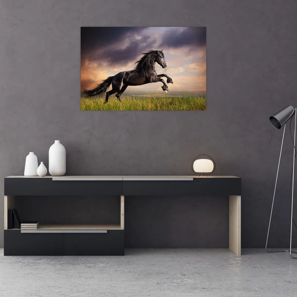 Tablou - Cai (90x60 cm)