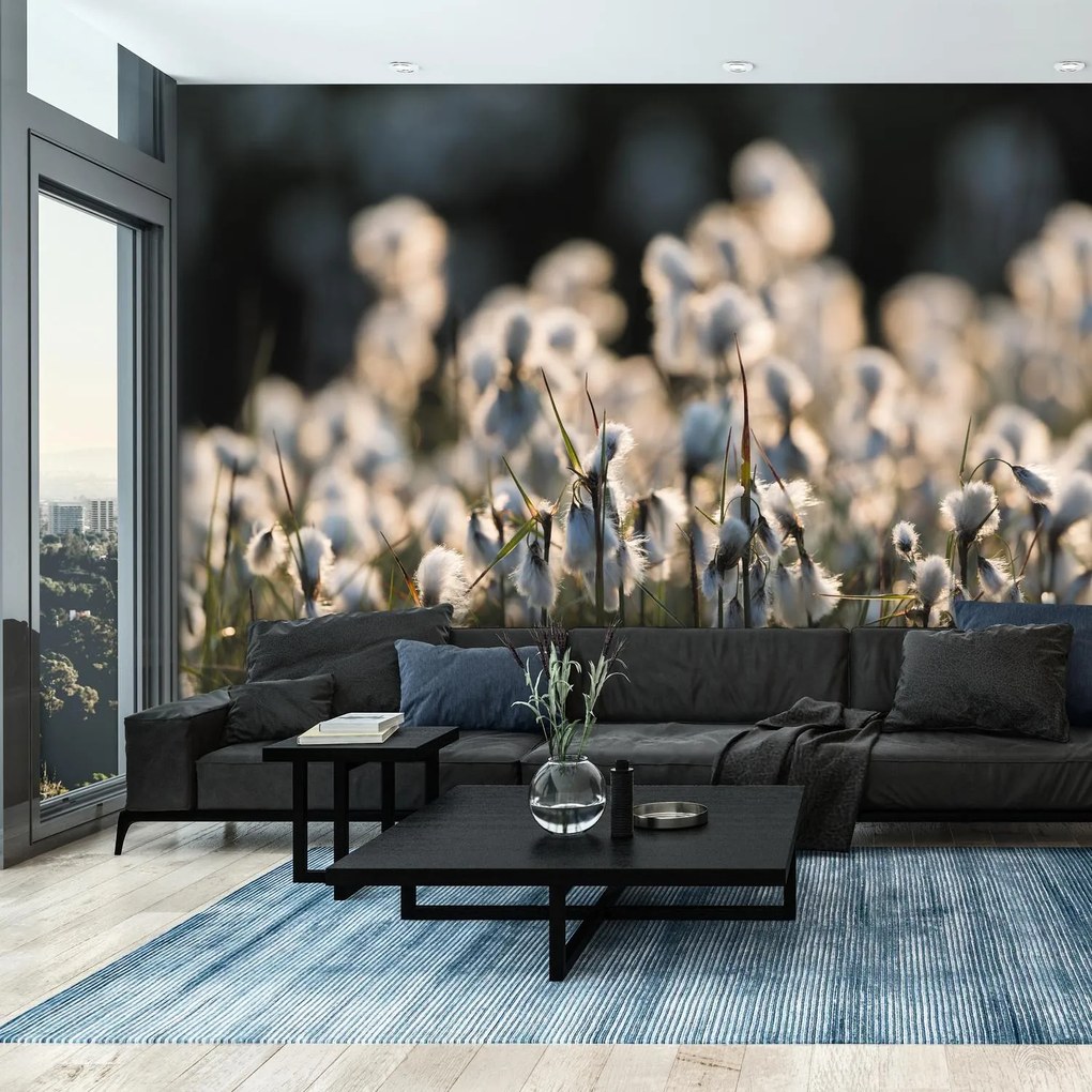 Fototapet - Floare de luncă (147x102 cm)