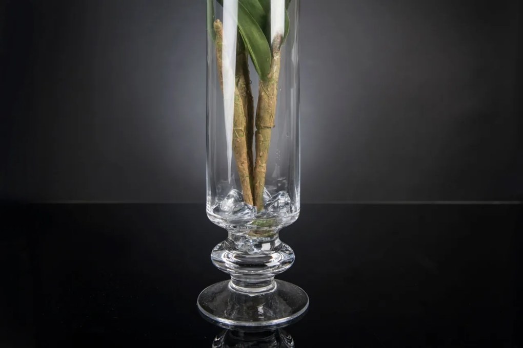 Aranjament floral elegant, design LUX ETERNITY DENDROBIUM ORCHID PLANT