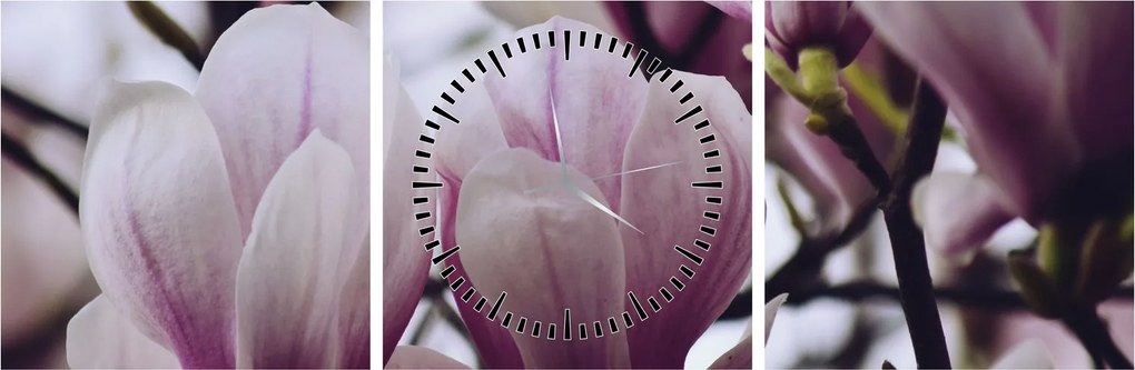 Tablou - Magnolie (cu ceas) (90x30 cm)