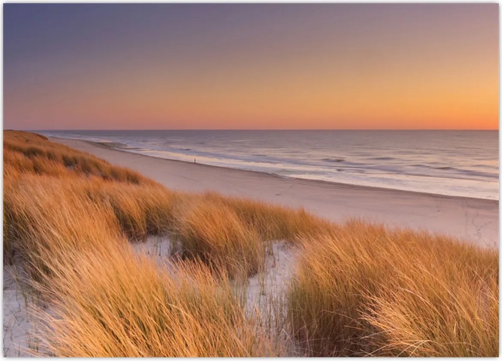 Tablou - Plajă la apus de soare (70x50 cm)