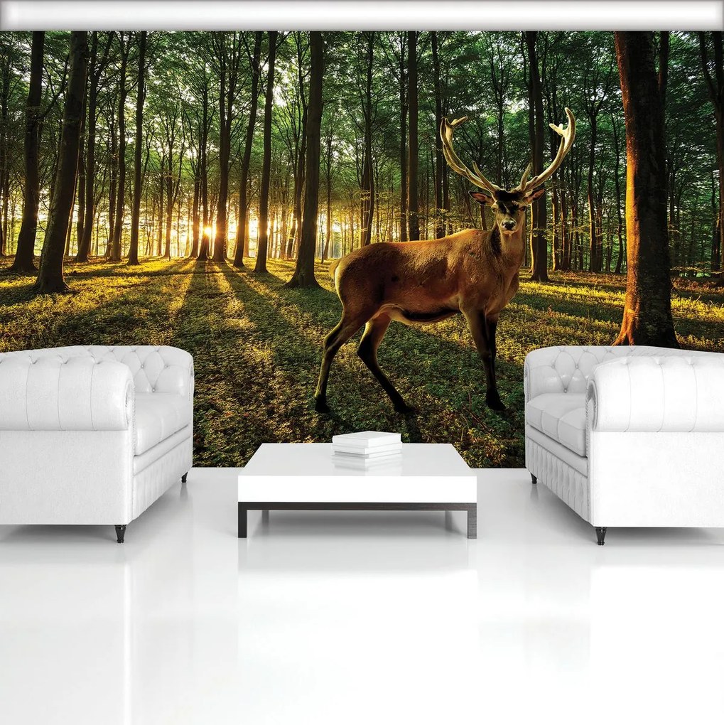 Fototapet - Cerb (152,5x104 cm)