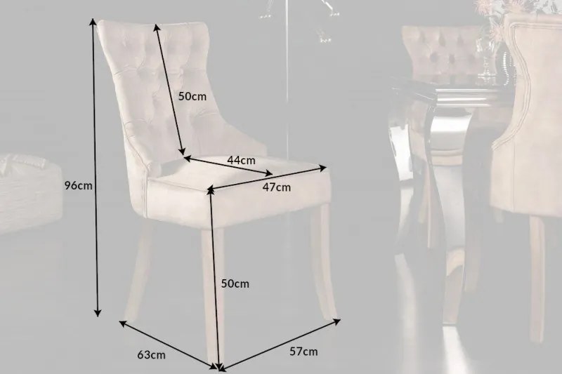 Set 2 scaune stil baroc Castle catifea maro cafeniu