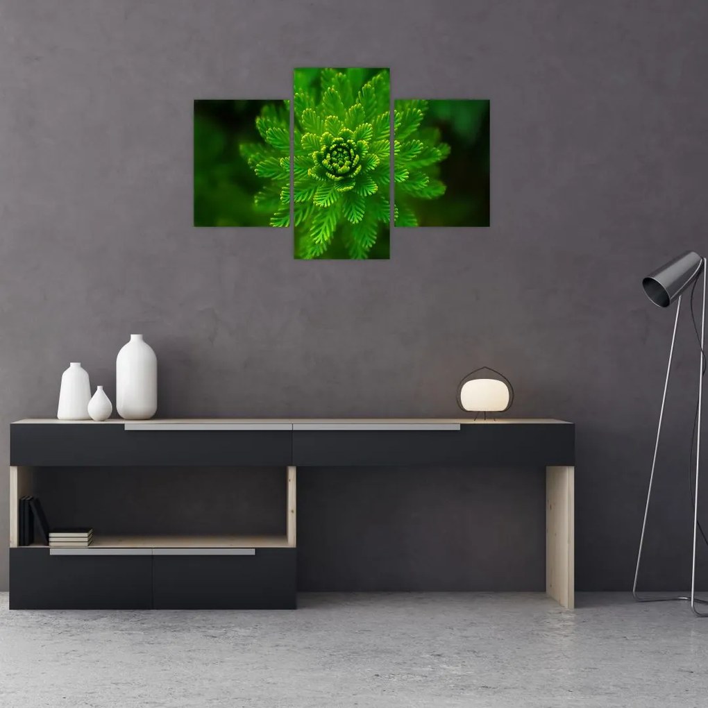 Tablou cu coniferi (90x60 cm)