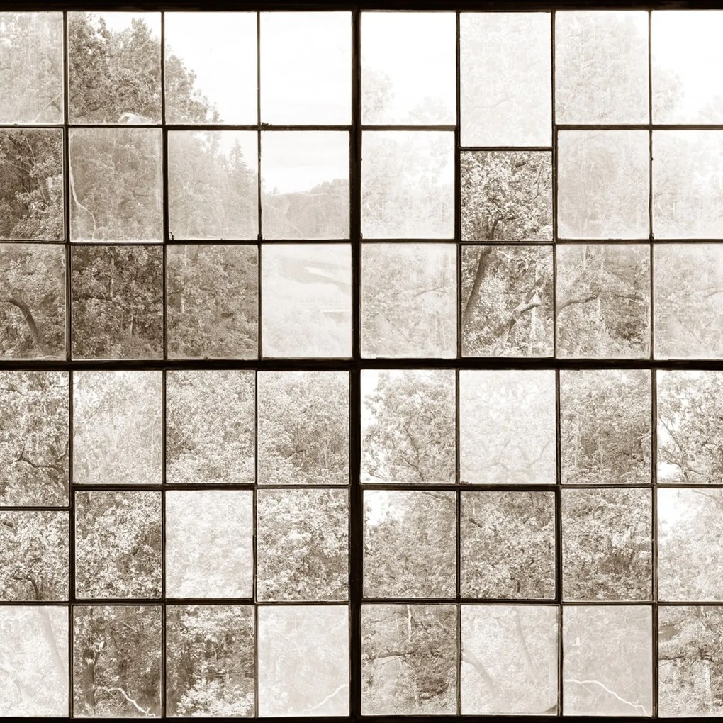 Fototapet, Factory Window, Sepia, Rebel Walls
