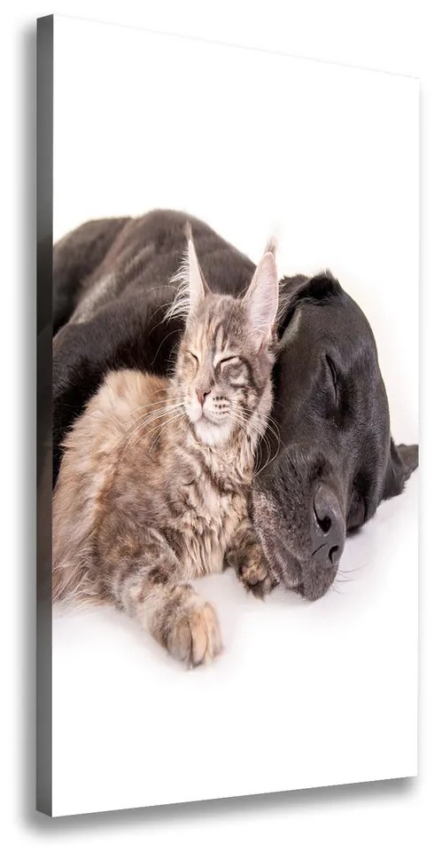 Tablou canvas Câine și pisică