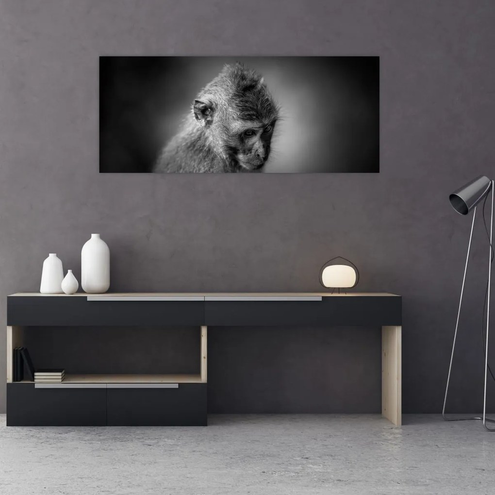 Tablou - Maimuță (120x50 cm)