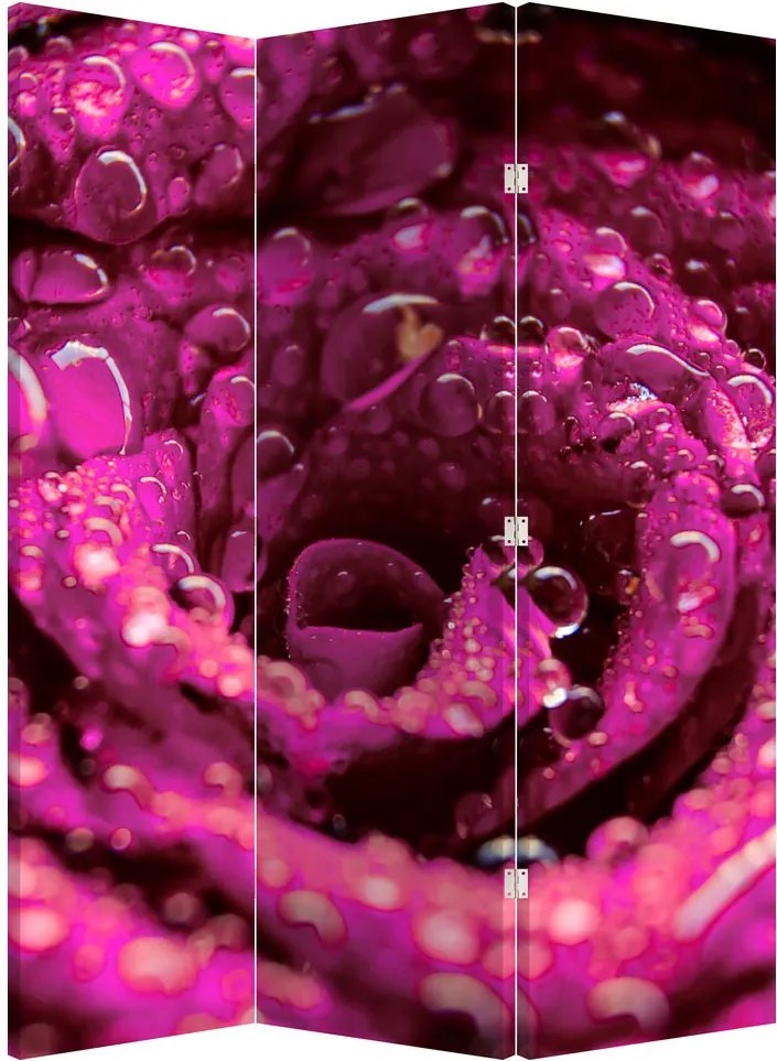 Paravan - Floarea trandafirului roz (126x170 cm)