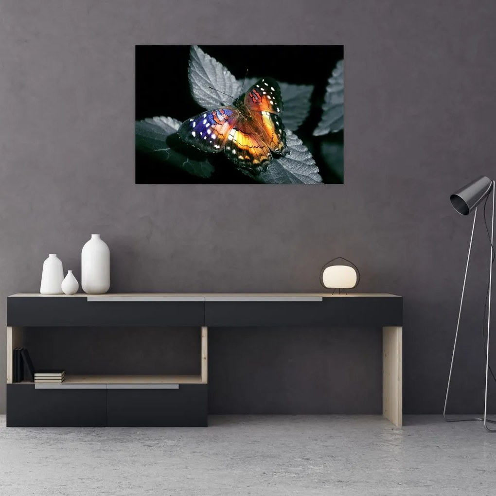 Tablou cu fluture (90x60 cm)