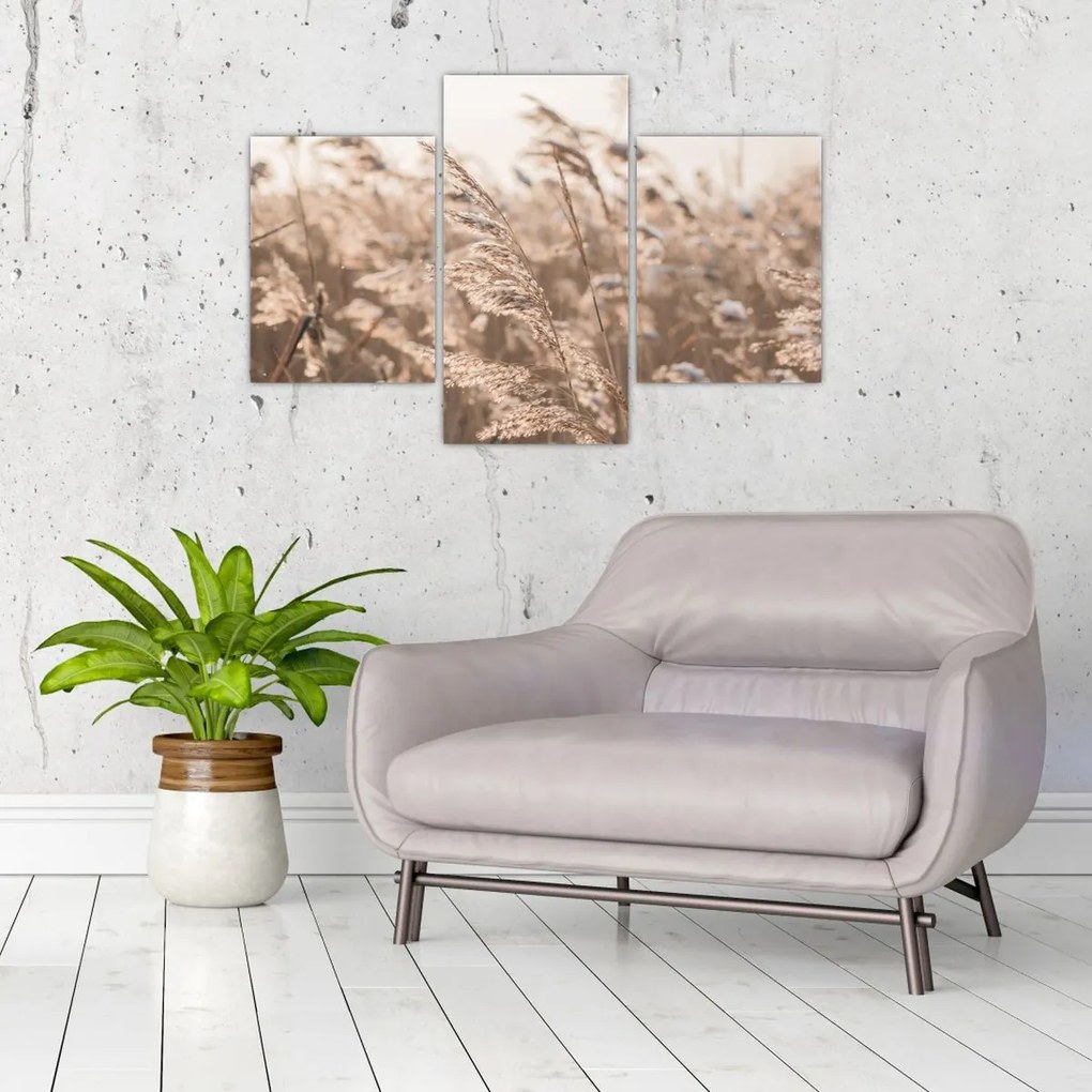 Tablou - Adiere de luncă (90x60 cm)