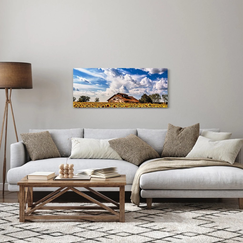 Tablou cu câmp de floarea soarelui (120x50 cm)