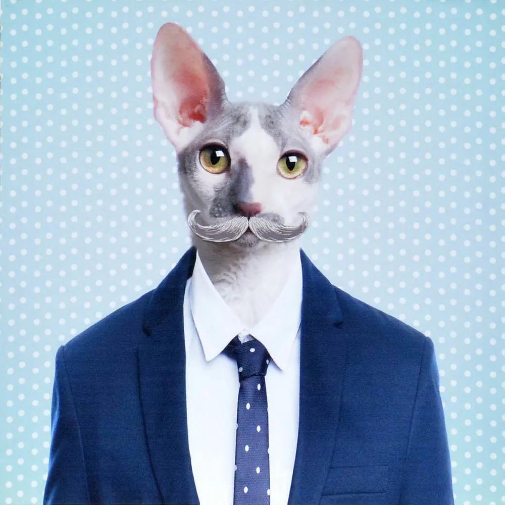Falc Tablou pe pânză - Office Cat, 40x40 cm