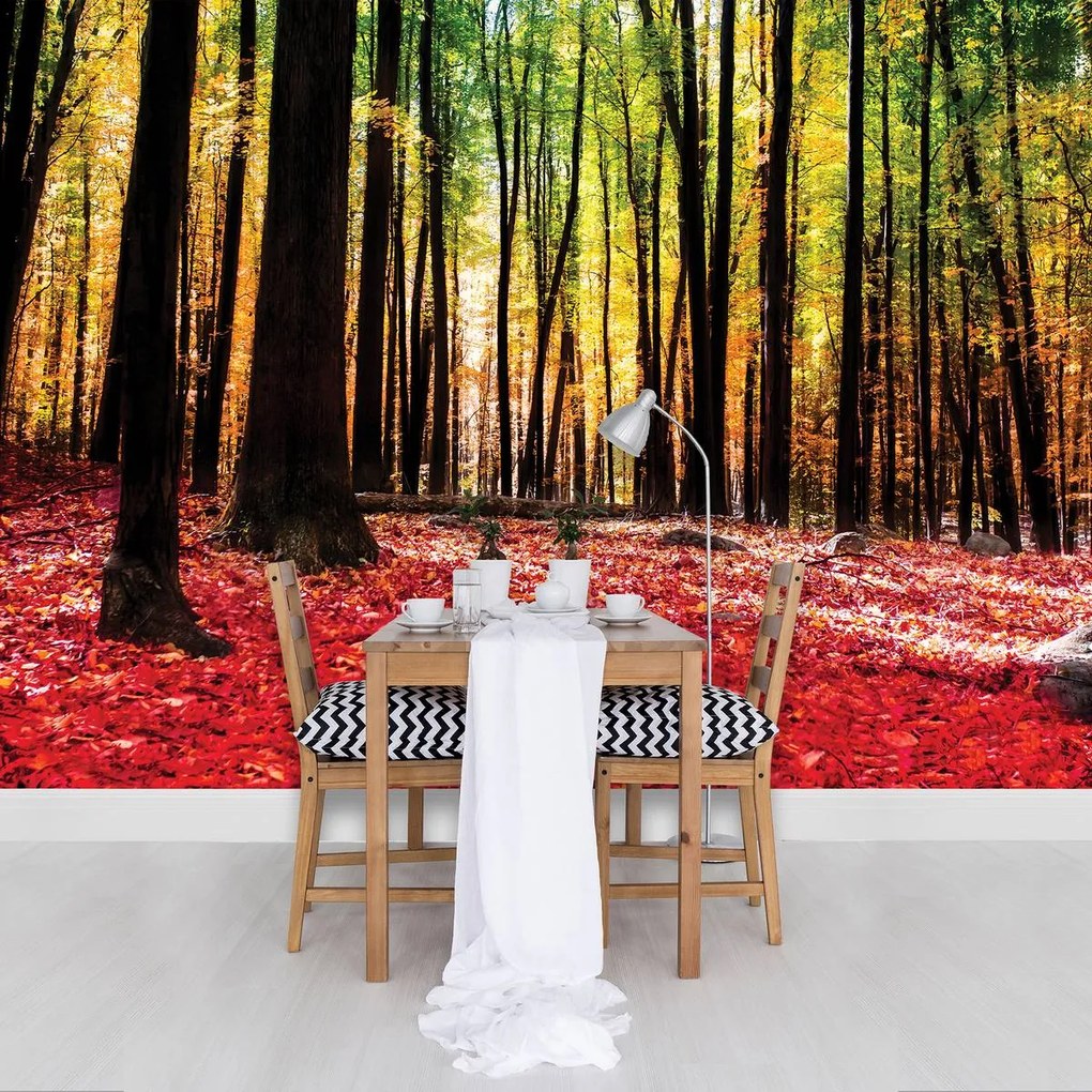 Fototapet - Pădure (152,5x104 cm)