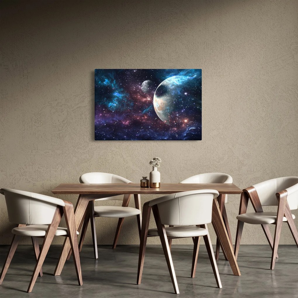 Tablou cu cosmos (90x60 cm)