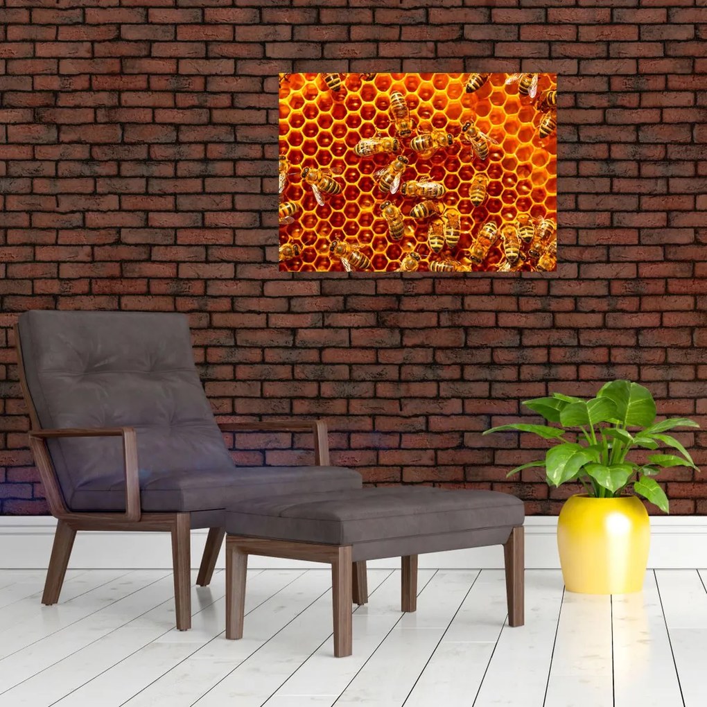 Tablou - Fagure de miere (70x50 cm)
