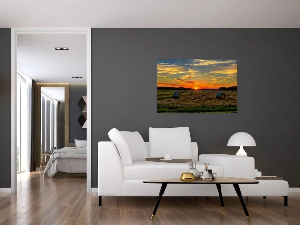 Tablou - Baloți din sat (90x60 cm)