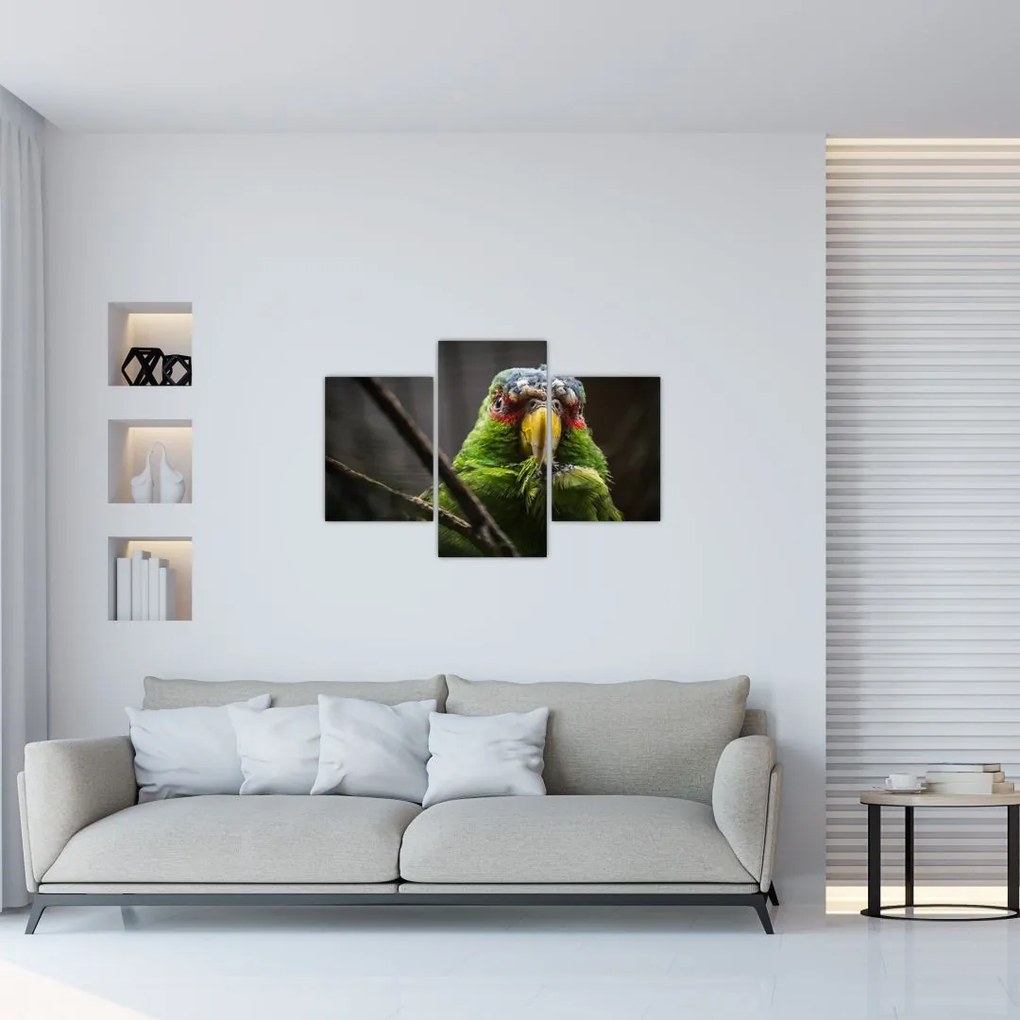 Tablou cu papagal (90x60 cm)
