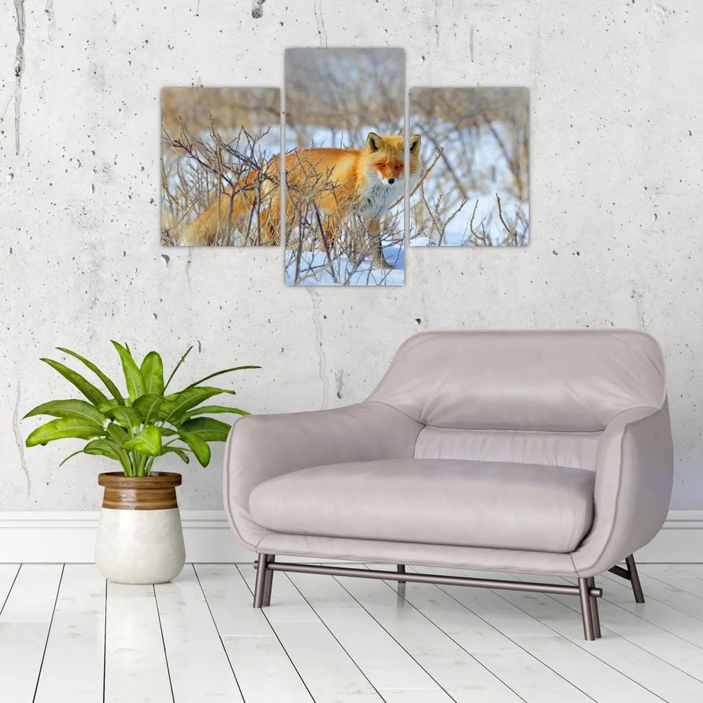 Tablou - Vulpe (90x60 cm)