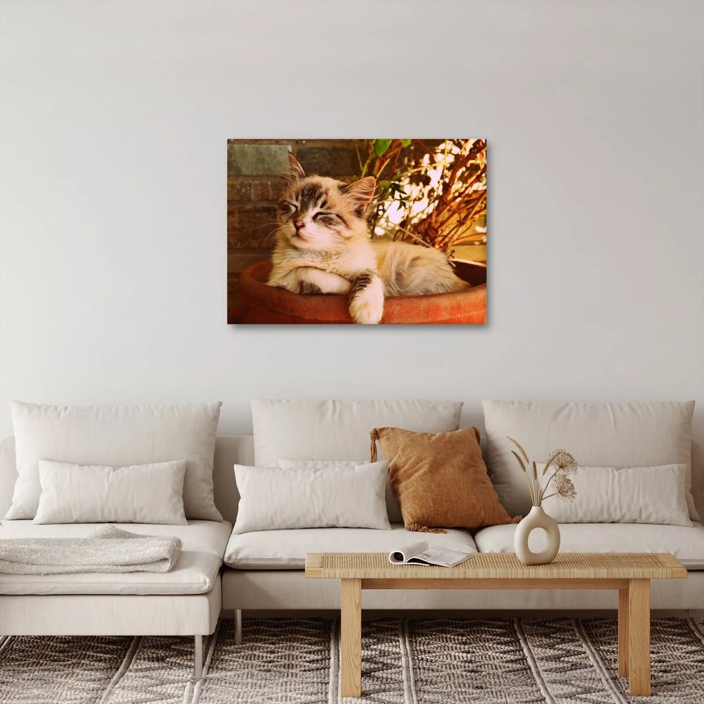 Tablou cu pisica în ghiveci (70x50 cm)