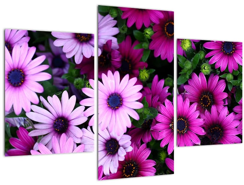 Tablou - Flori (90x60 cm)