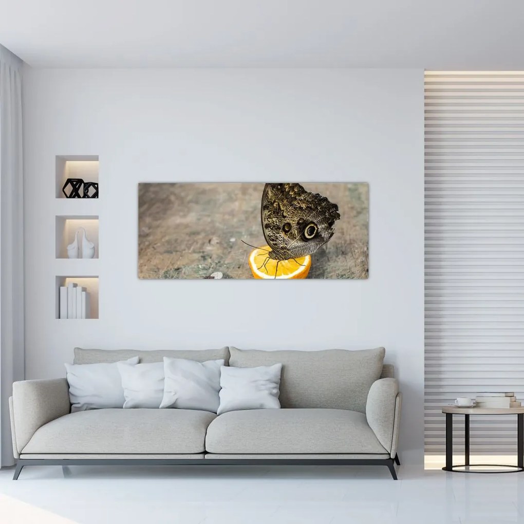 Tablou cu fluturi (120x50 cm)