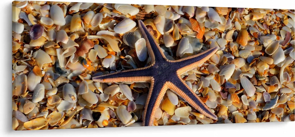 Tablou cu stea de mare (120x50 cm)