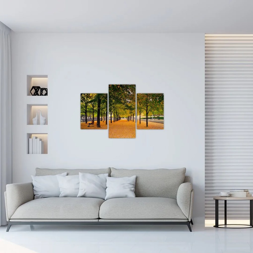 Tablou cu alee cu copaci în toamnă (90x60 cm)