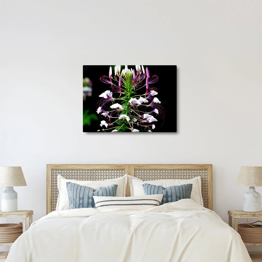 Tablou cu floare (70x50 cm)