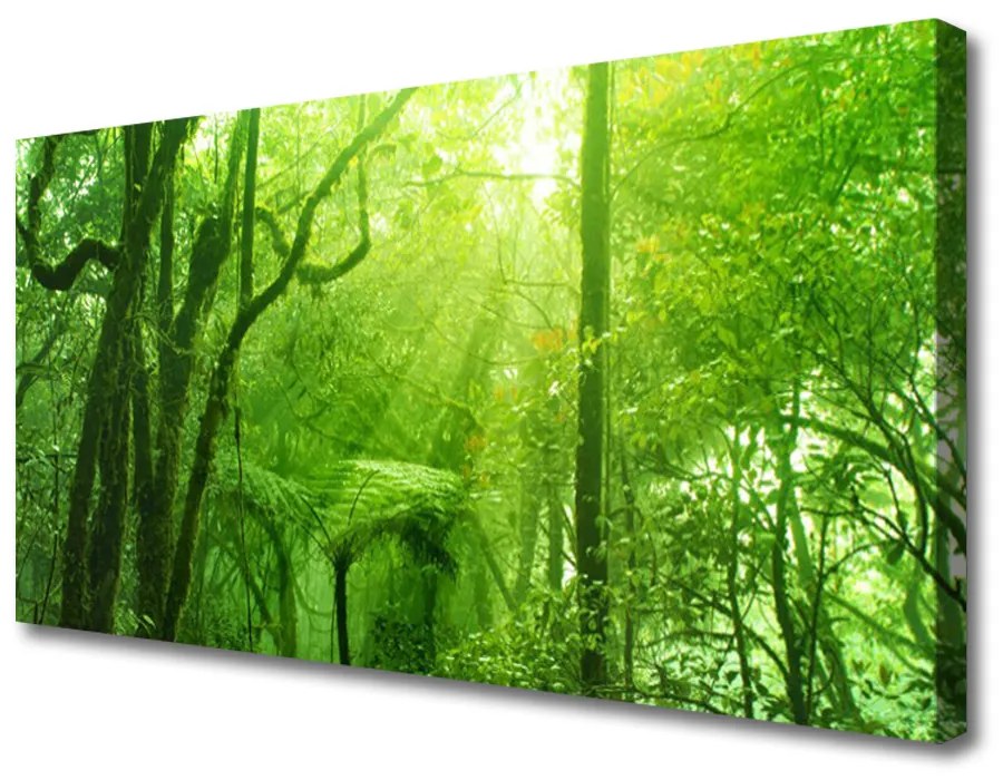 Tablou pe panza canvas Copaci Natura Brun Verde