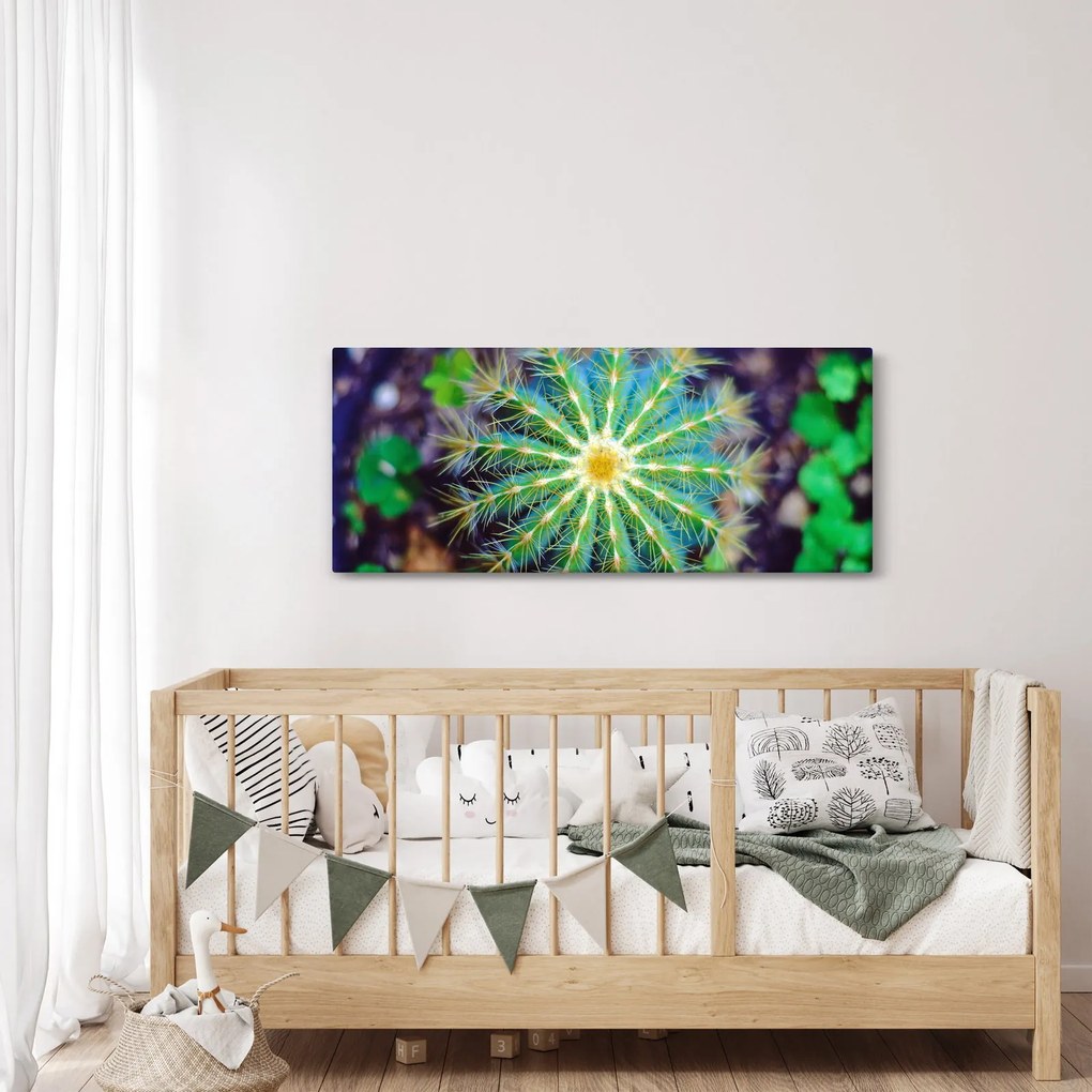 Tablou cu cactus (120x50 cm)