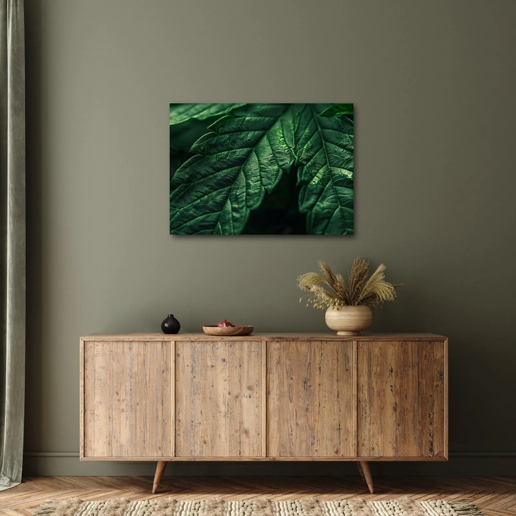 Tablou - Detaliu al foii (70x50 cm)