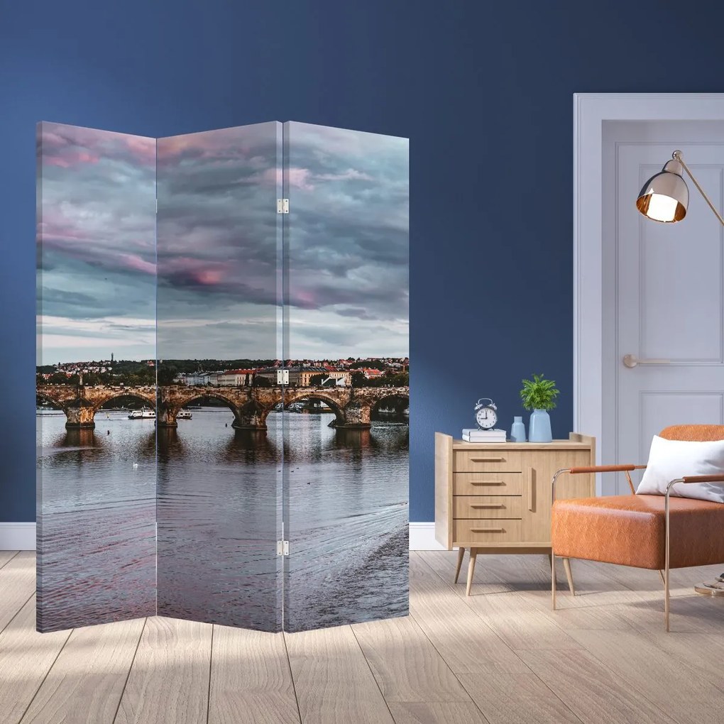 Paravan - Vltava (126x170 cm)