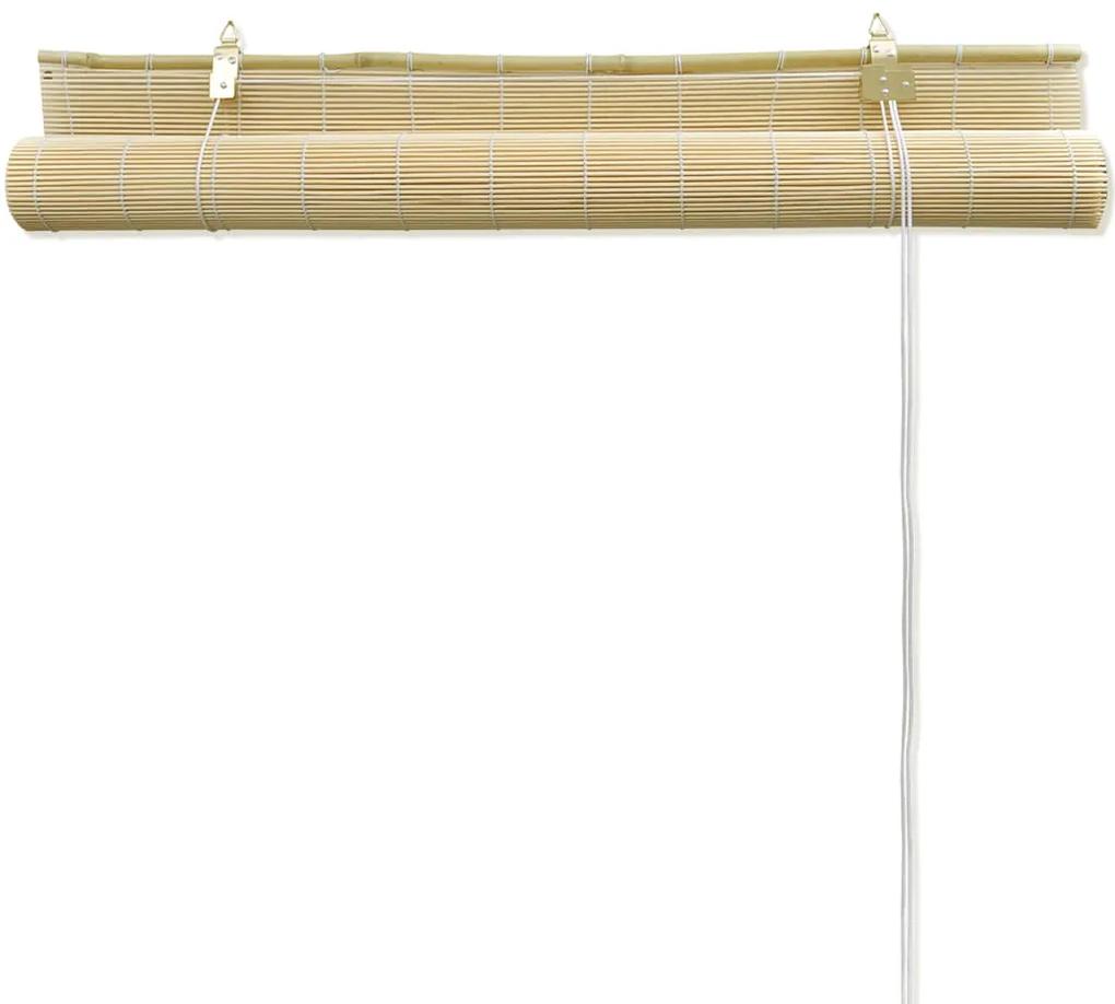 Jaluzele rulabile, 100 x 160 cm, bambus natural Bej, 100 x 160 cm