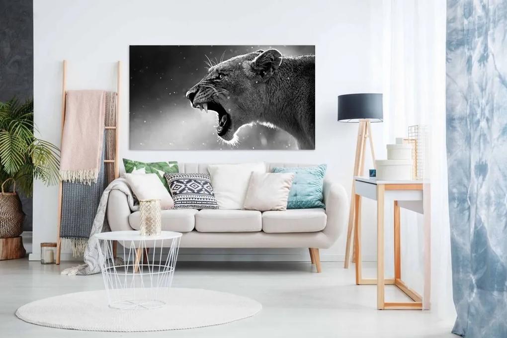 Tablou canvas felina furioasa - 100x60cm