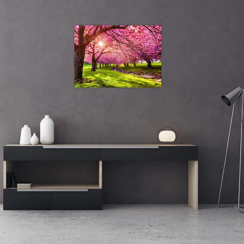 Tablou pe sticlă - Cireși înfloriți, Hurd Park, Dover, New Jersey (70x50 cm)