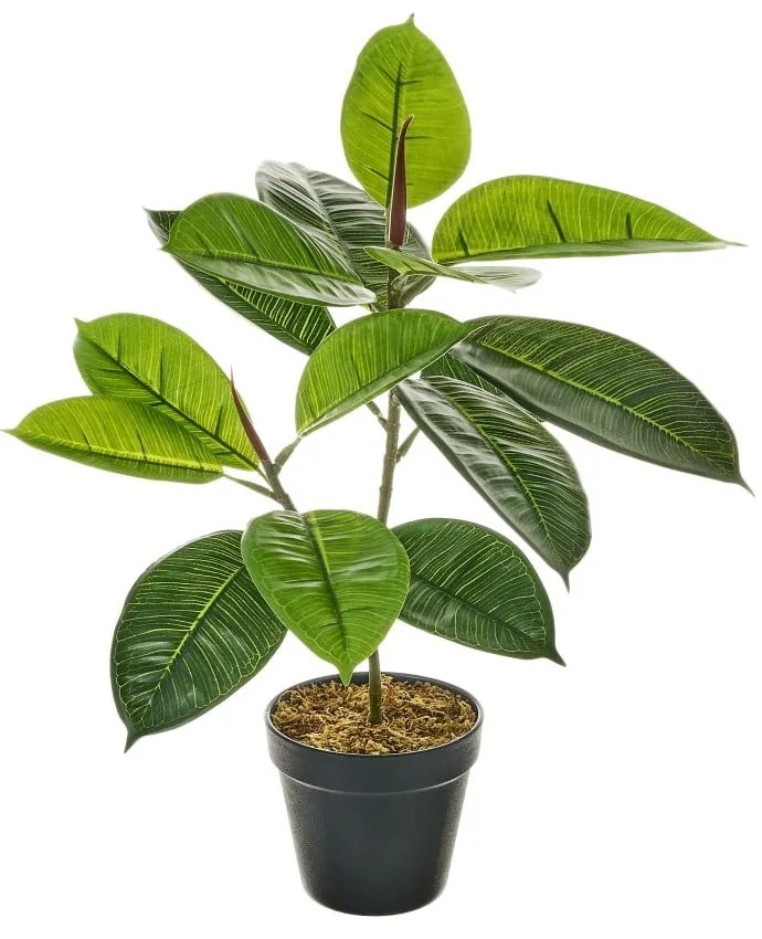 Plantă artificială Ficus – Casa Selección
