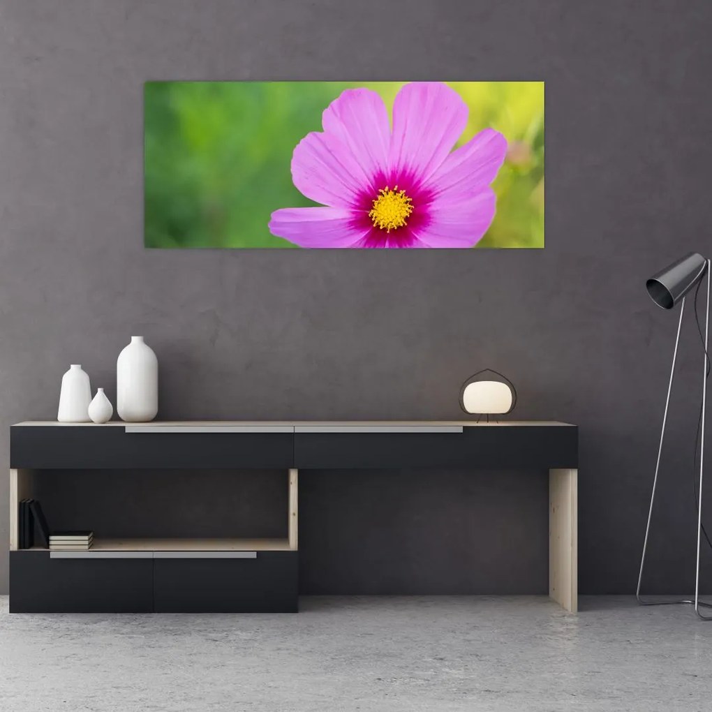 Tablou - floare de câmp (120x50 cm)