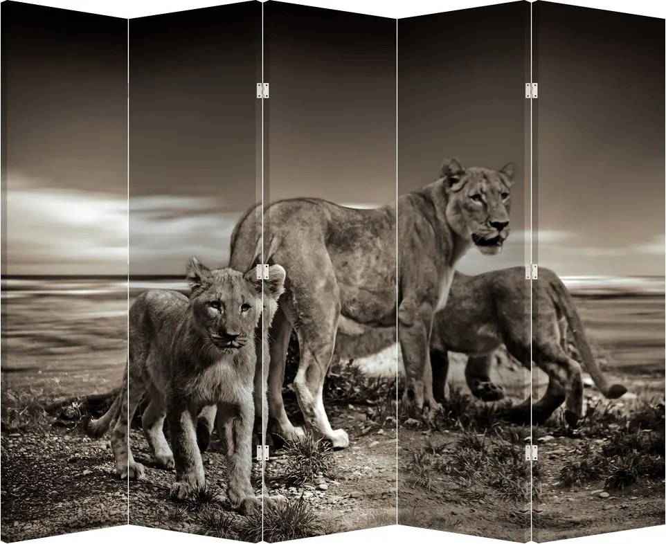 Paravan - Leii alb negri (210x170 cm)