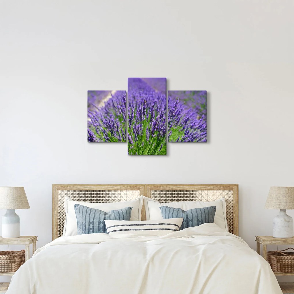 Tablou - lavanda (90x60 cm)