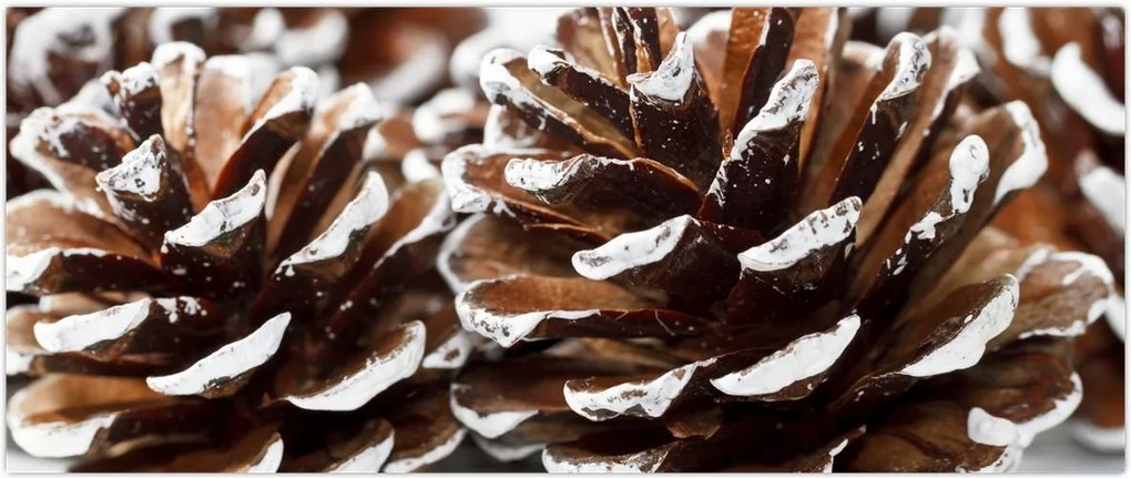 Tablou - Gogoși (120x50 cm)