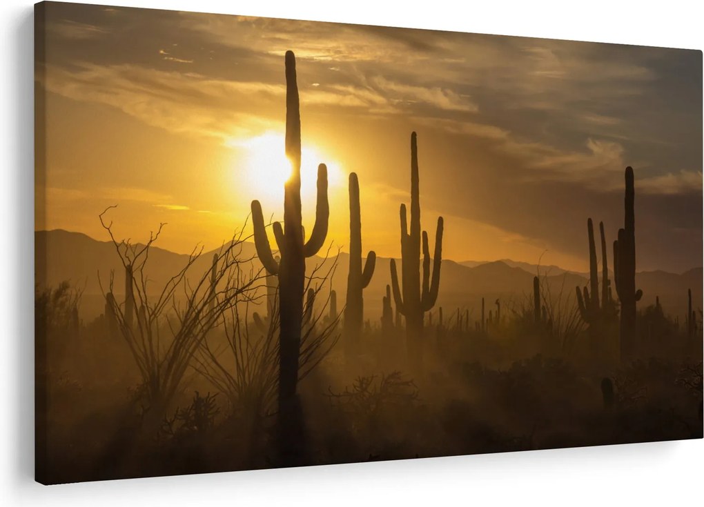 Tablou - Cactuși Saguaro (90x60 cm)