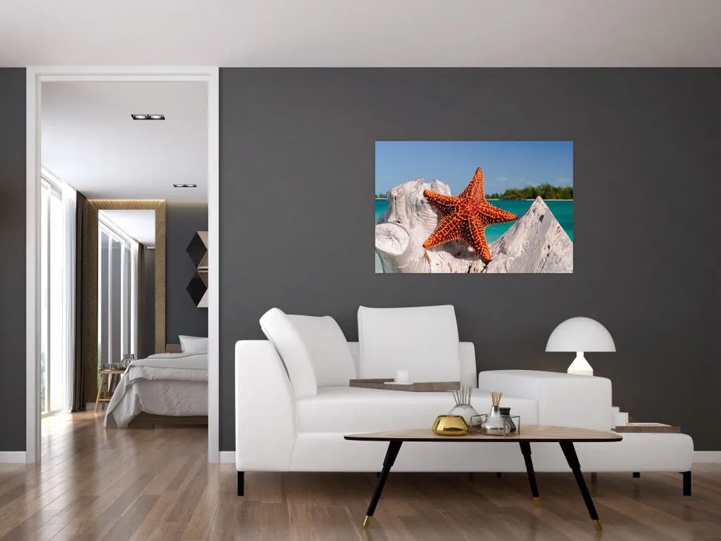 Tablou cu stea de mare (90x60 cm)