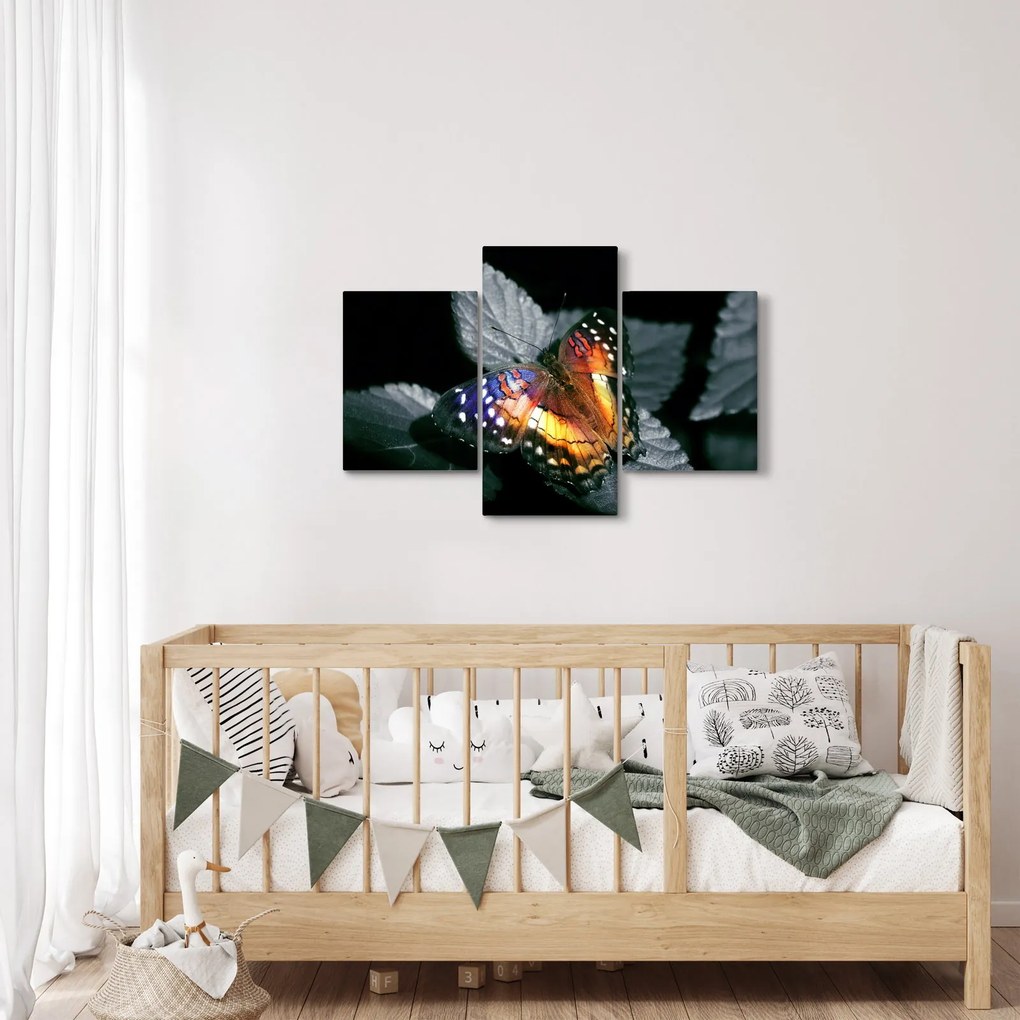 Tablou cu fluture (90x60 cm)